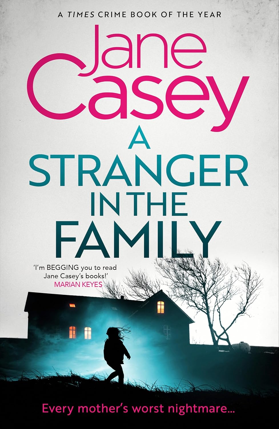 Stranger in the Family (Maeve Kerrigan, Book 11)