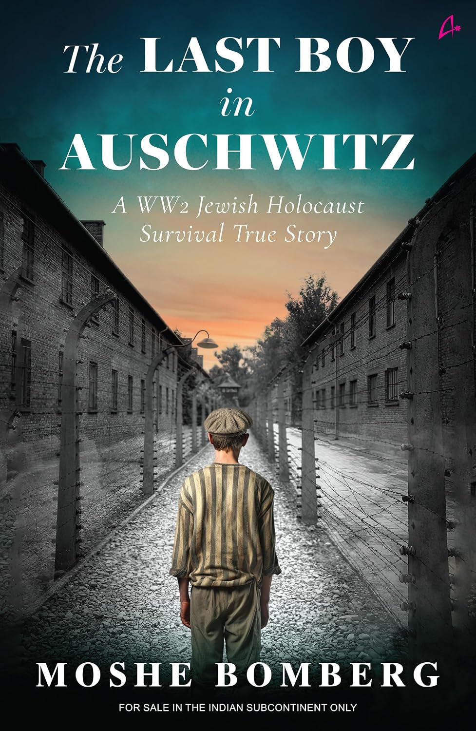 The Last Boy in Auschwitz: a Ww2 Jewish Holocaust Survival True Story (english)