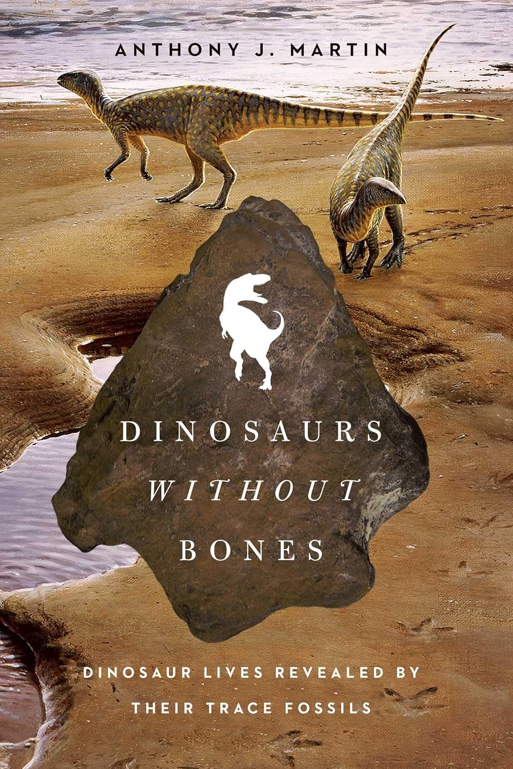 Dinosaurs without bones: dinosaur lives revealed by their trace fossils