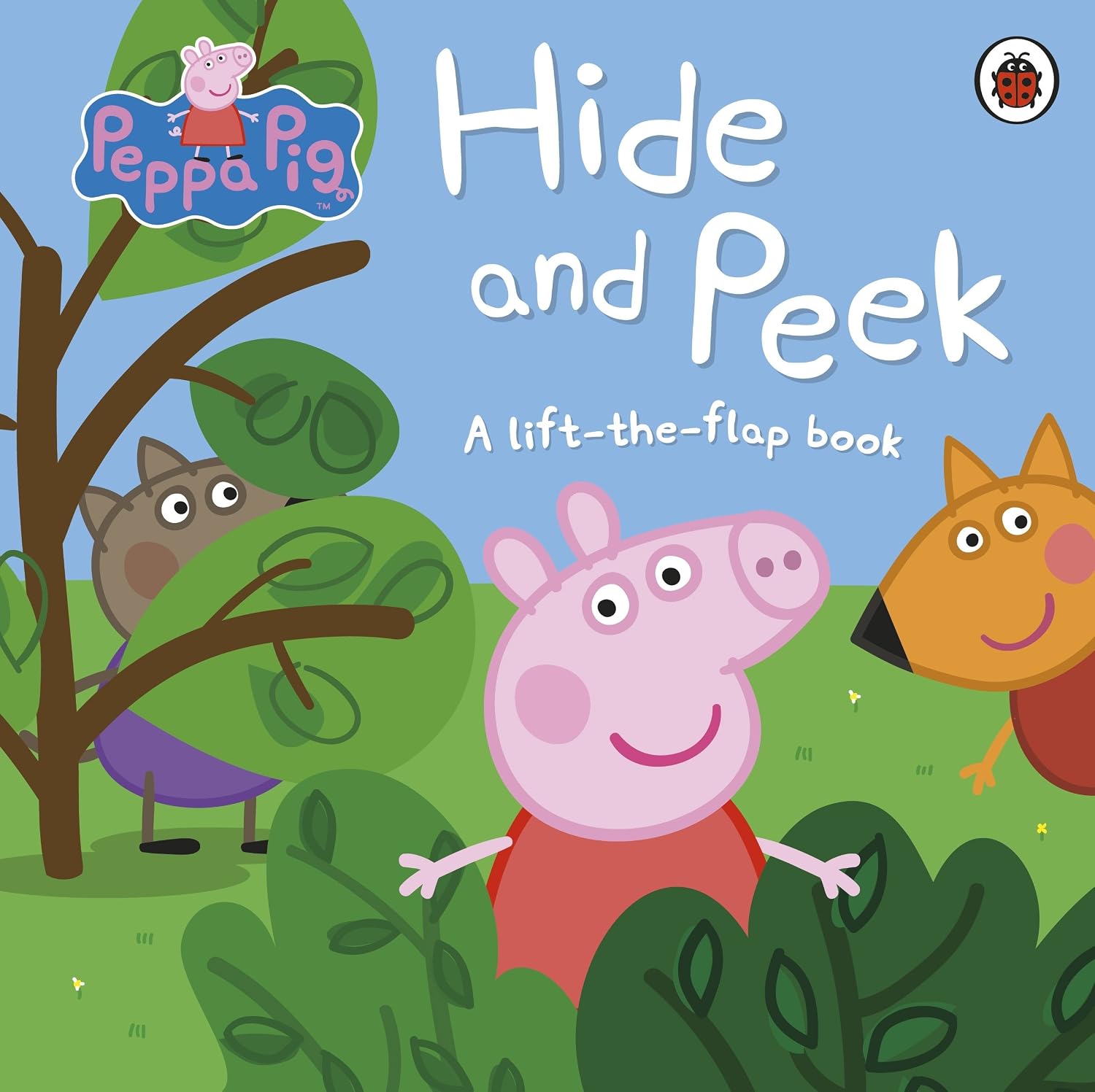 Peppa Pig: Hide and Peek: a Lift-the-flap Book