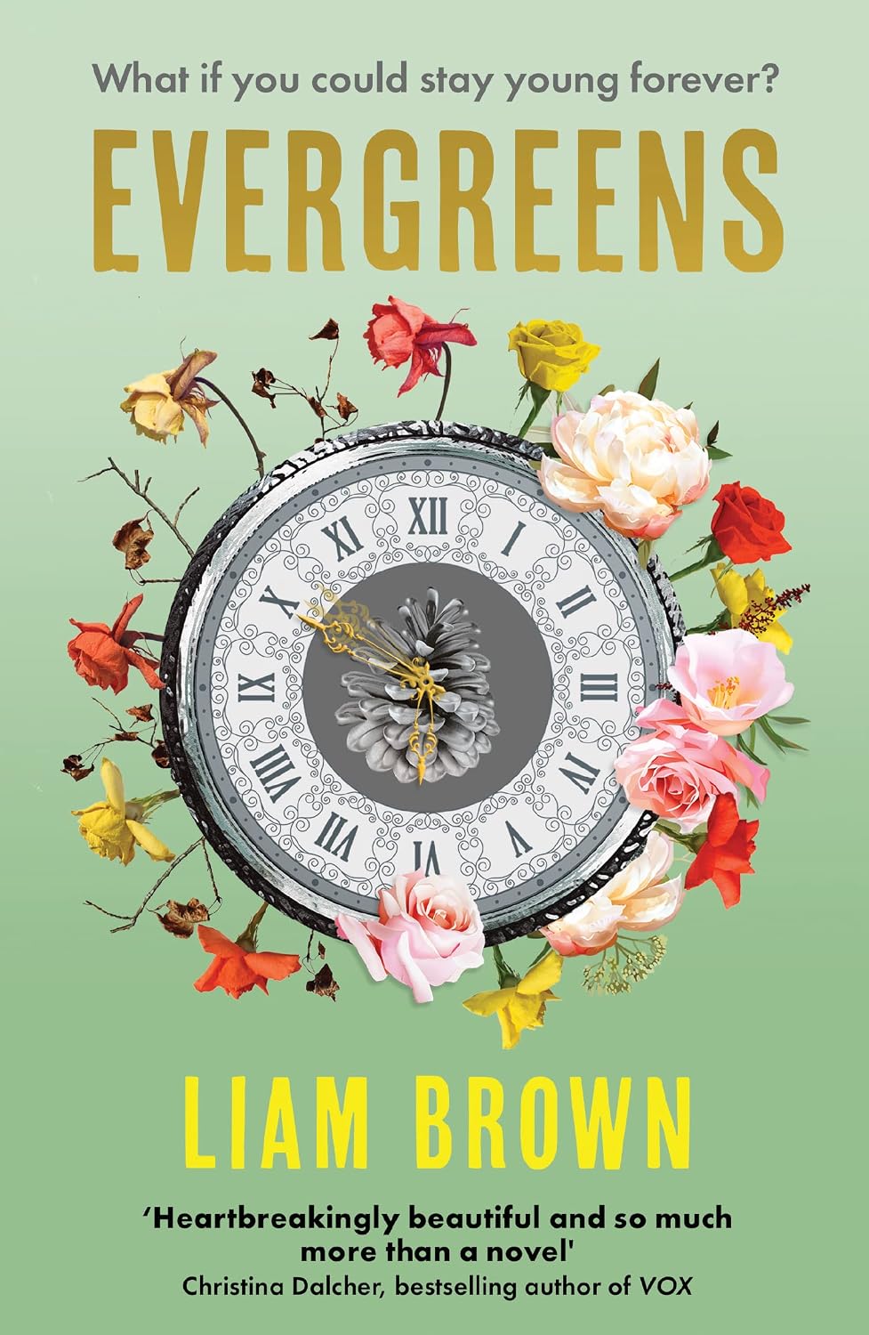 Evergreens: Winner of the Contemporary Romantic Novel Award 2024