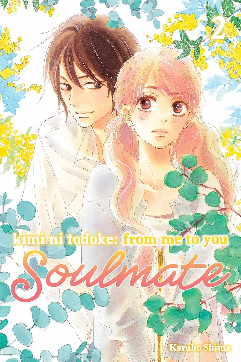 Kimi Ni Todoke: From Me to You, Vol. 2