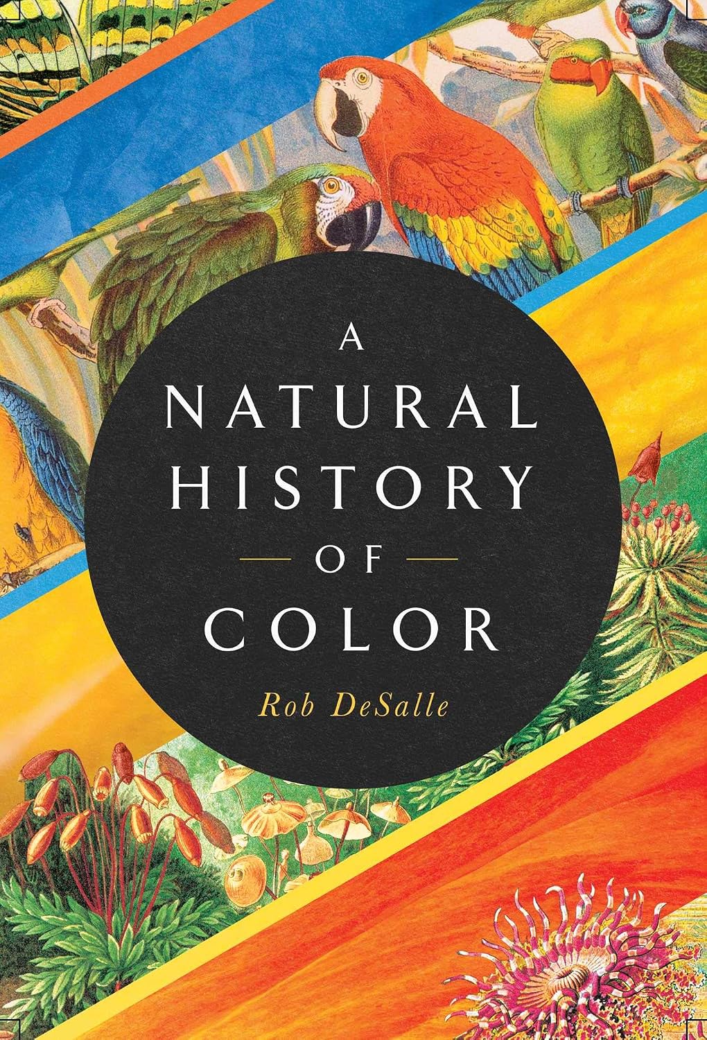 Natural History of Color: The Science Behind What We See and How We See It