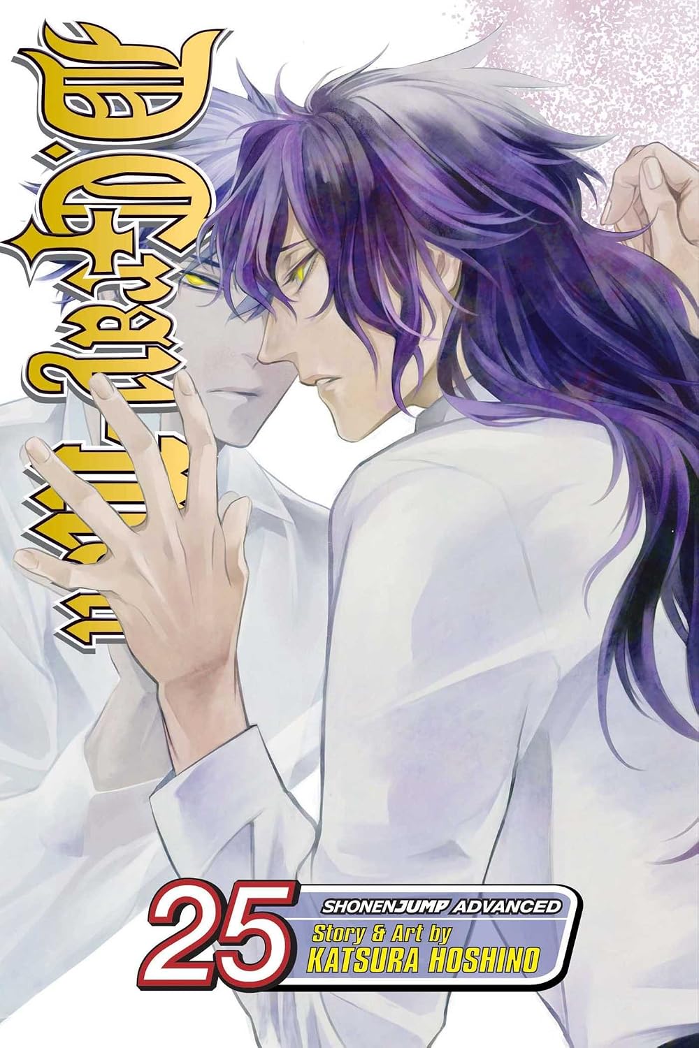D. Gray-Man, Vol. 25: He Has Forgotten Love