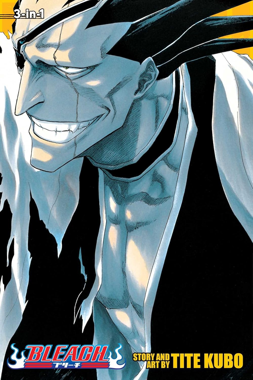 Bleach Vol 13-15