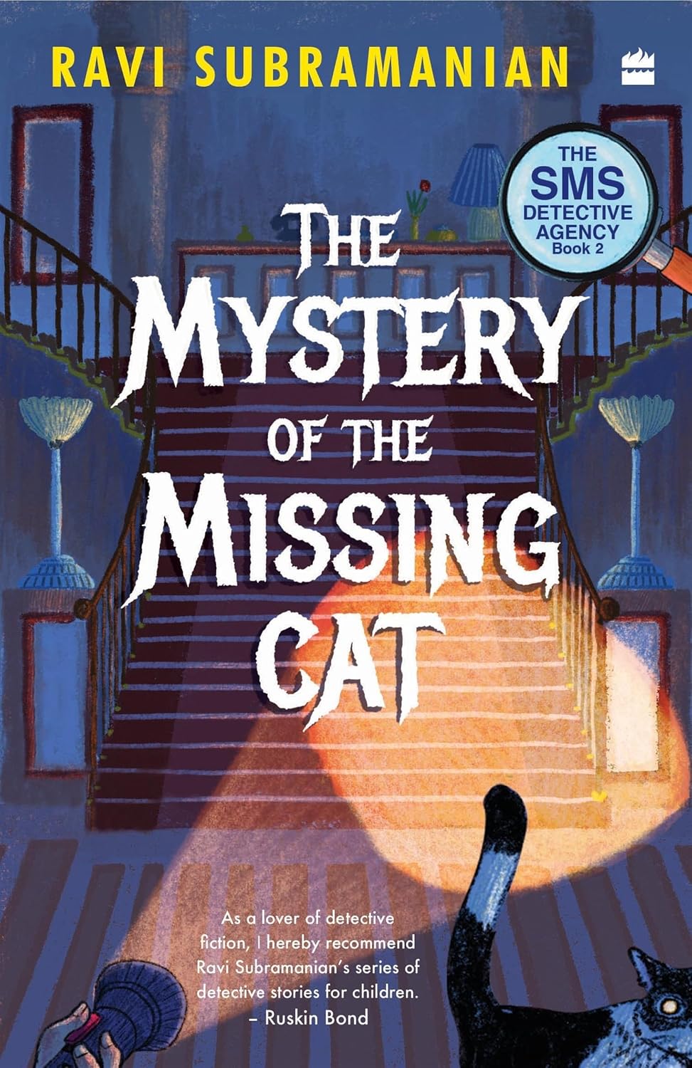 Mystery of the Missing Cat