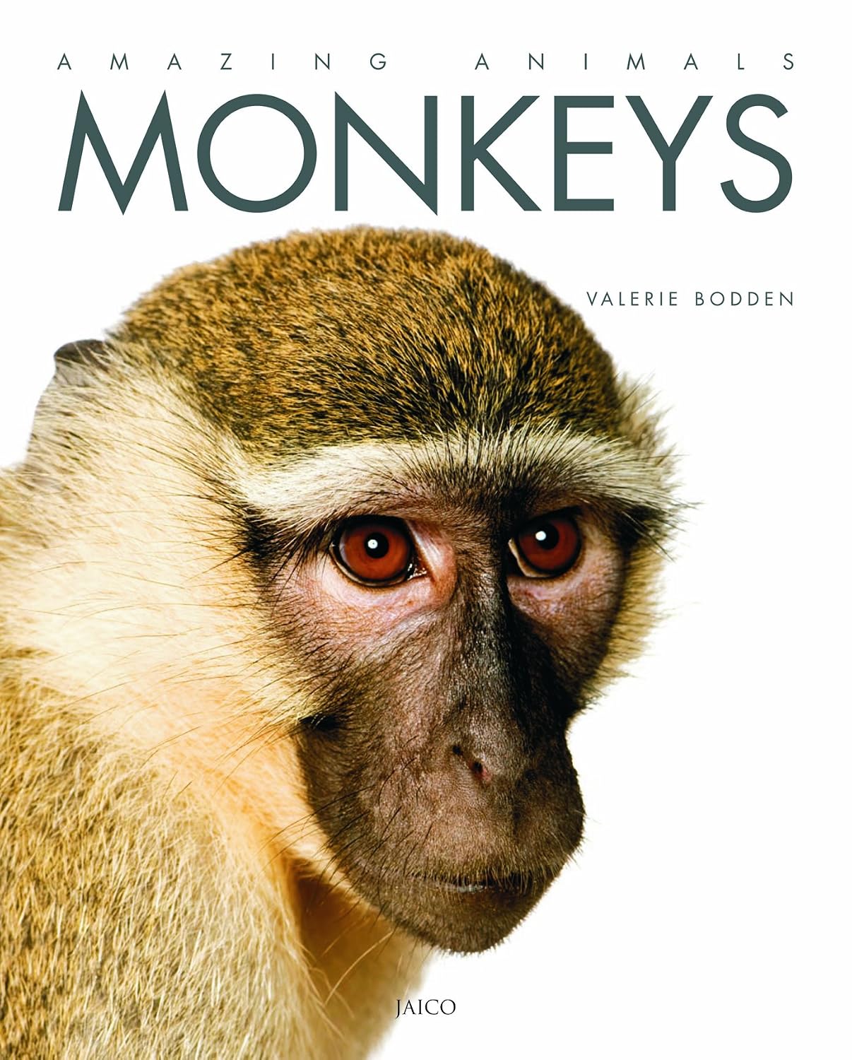 Monkeys