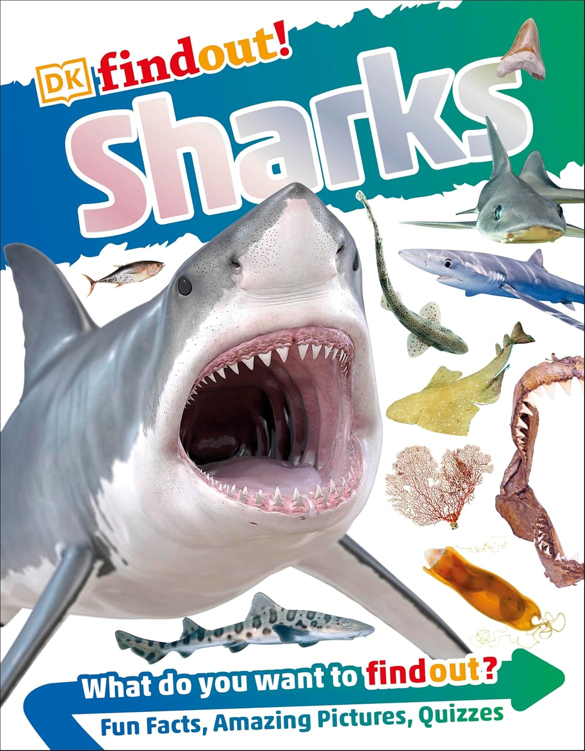 Sharks