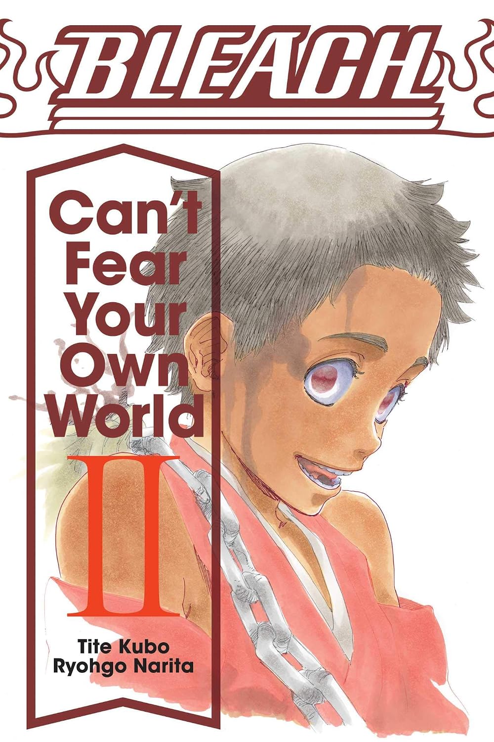 Bleach: Can't Fear Your Own World Vol 2
