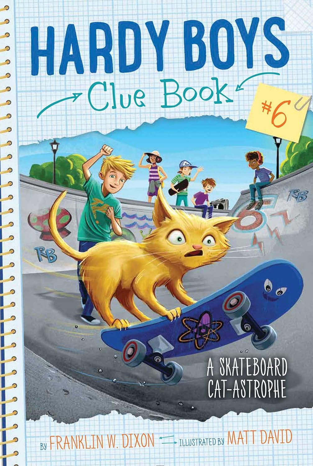 A Skateboard Cat-astrophe: Hardy Boys Clue Book #6