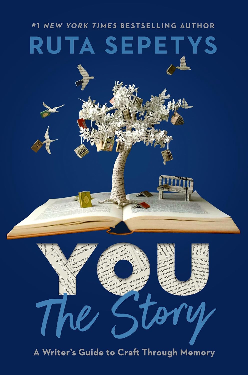 You : The Story: A Writers Guide to Craft Through Memory