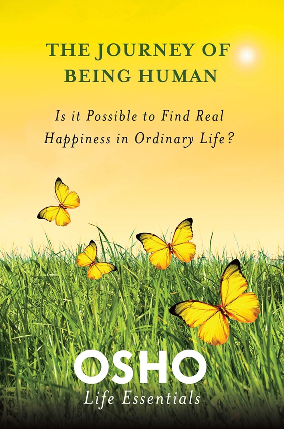 The journey of being human: is it possible to find real happiness in ordinary life?