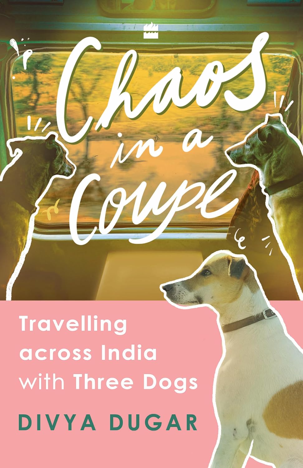 Chaos in a Coupe: Travelling Across India With Three Dogs