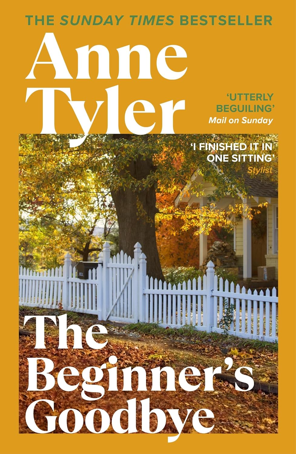 Beginner's Goodbye