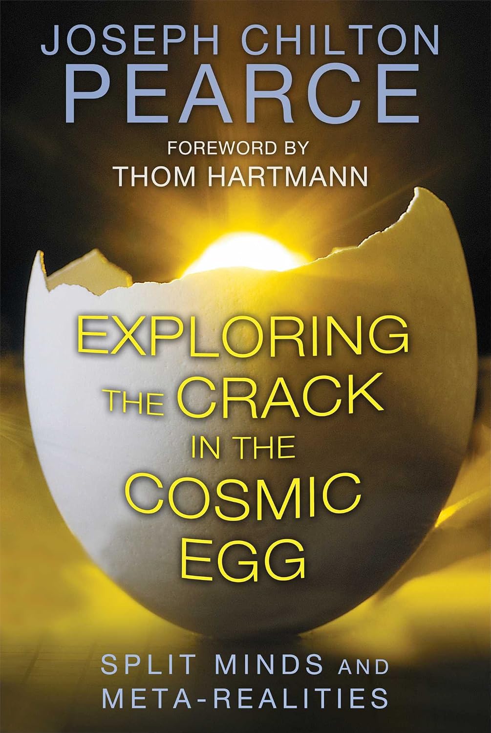 Exploring the crack in the cosmic egg: split minds and meta-realities