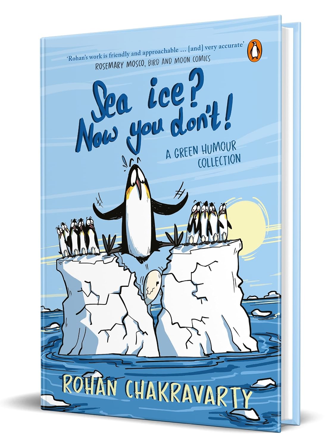 Sea Ice? Now You Don't!