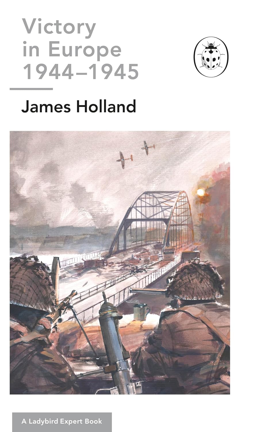 Road to Berlin: a Ladybird Expert Book : (ww2 #11)