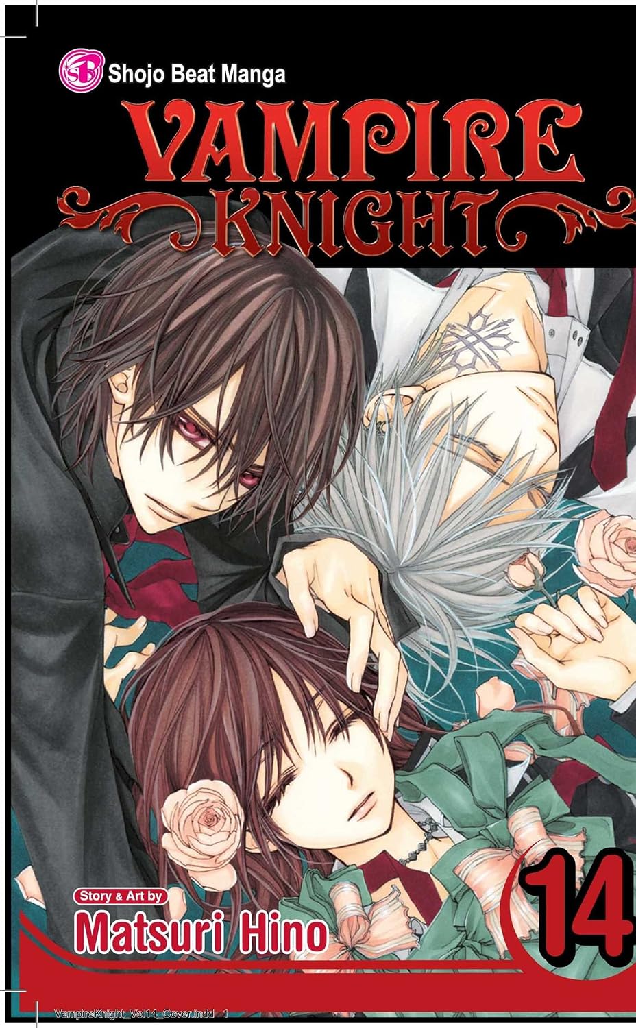 Vampire Knight Vol 14