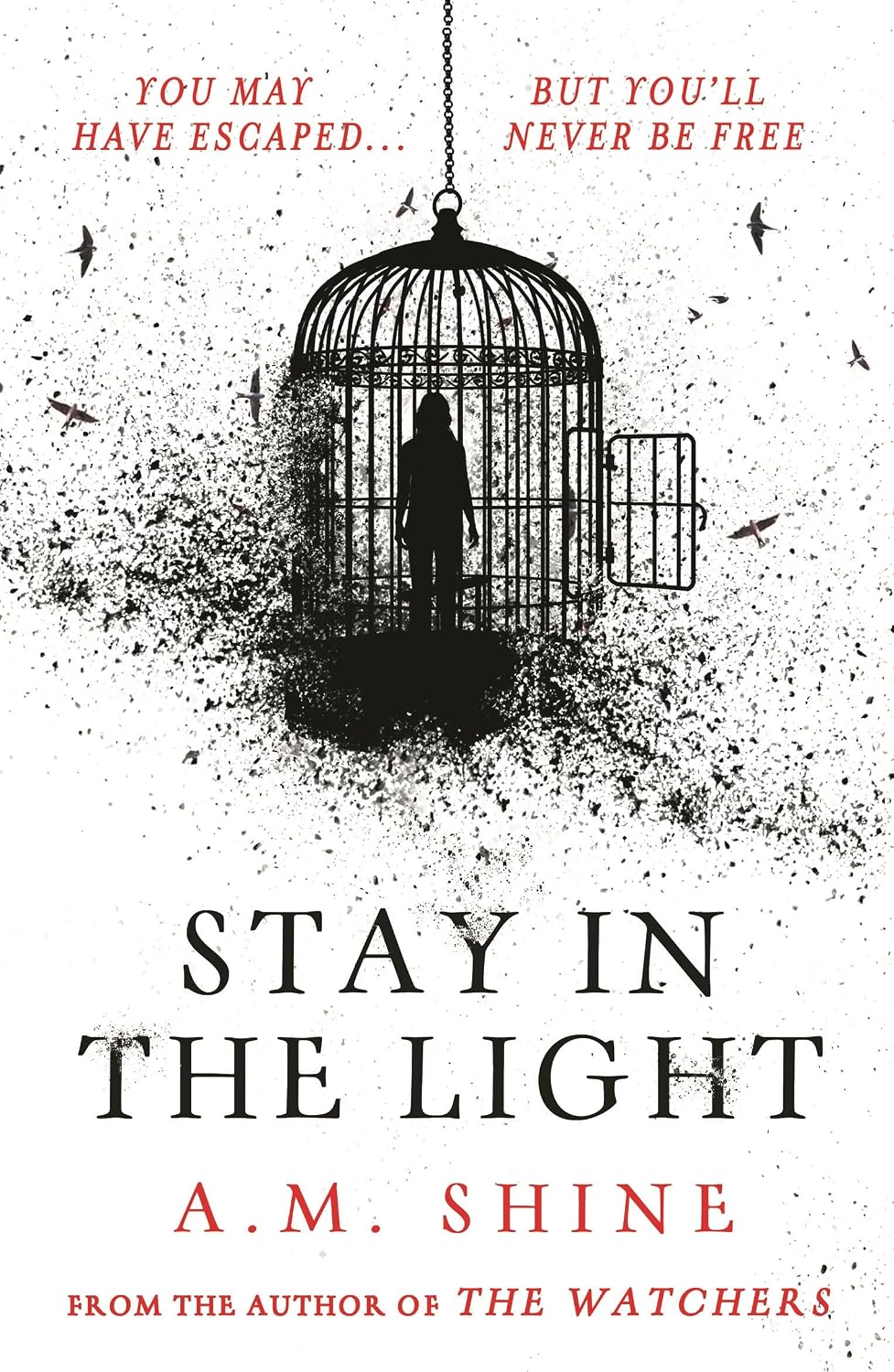 Stay in the Light: The Chilling Sequel to the WATCHERS, Now Adapted into a Major Motion Picture
