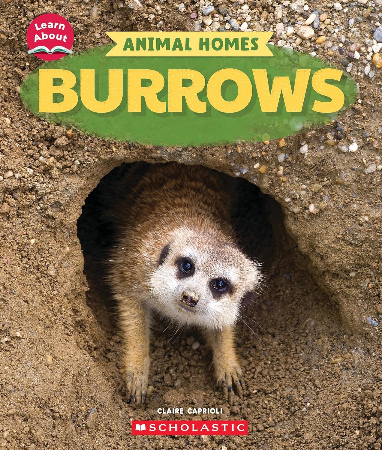 Learn About: Animal Homes: Burrows