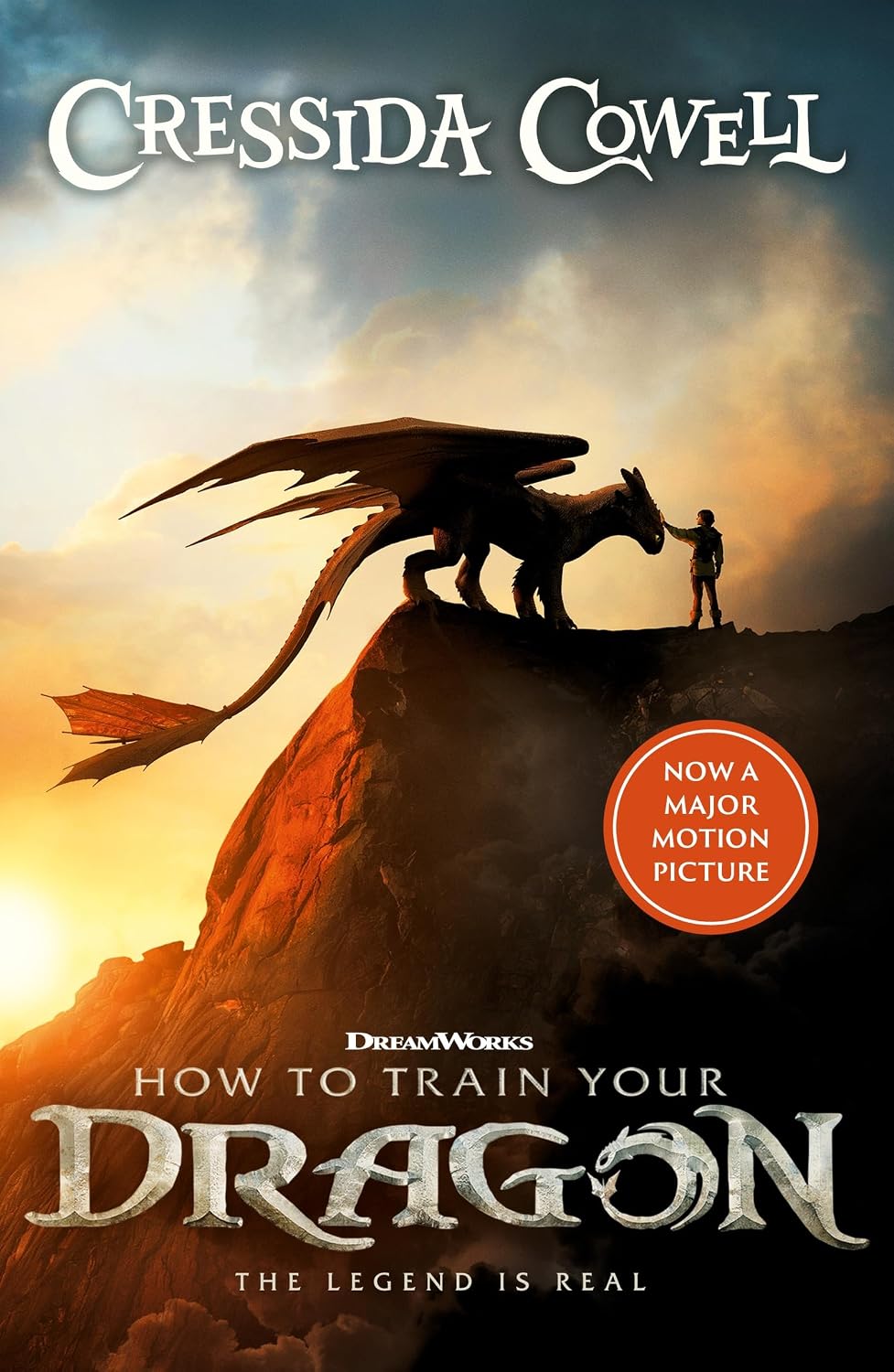 How to Train Your Dragon FILM TIE in: Book 1