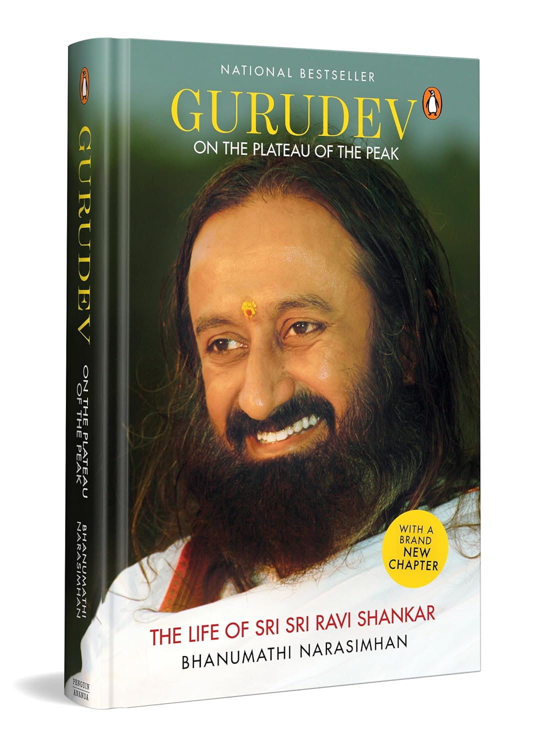 Gurudev: on the Plateau of the Peak