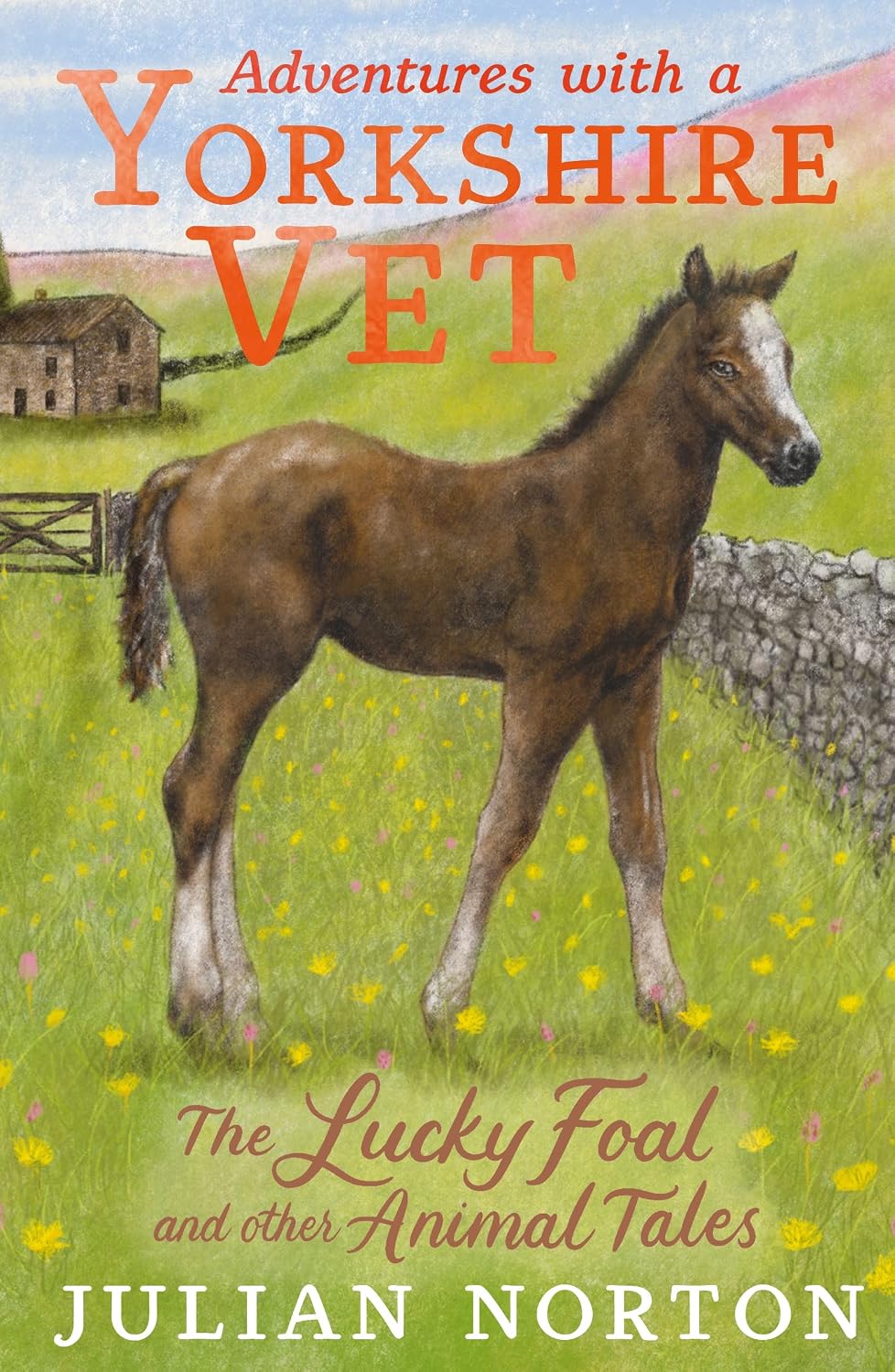 Adventures with a Yorkshire Vet