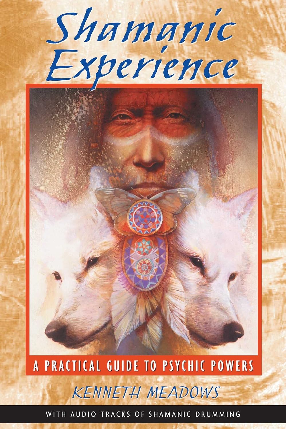 Shamanic experience: a practical guide to psychic powers