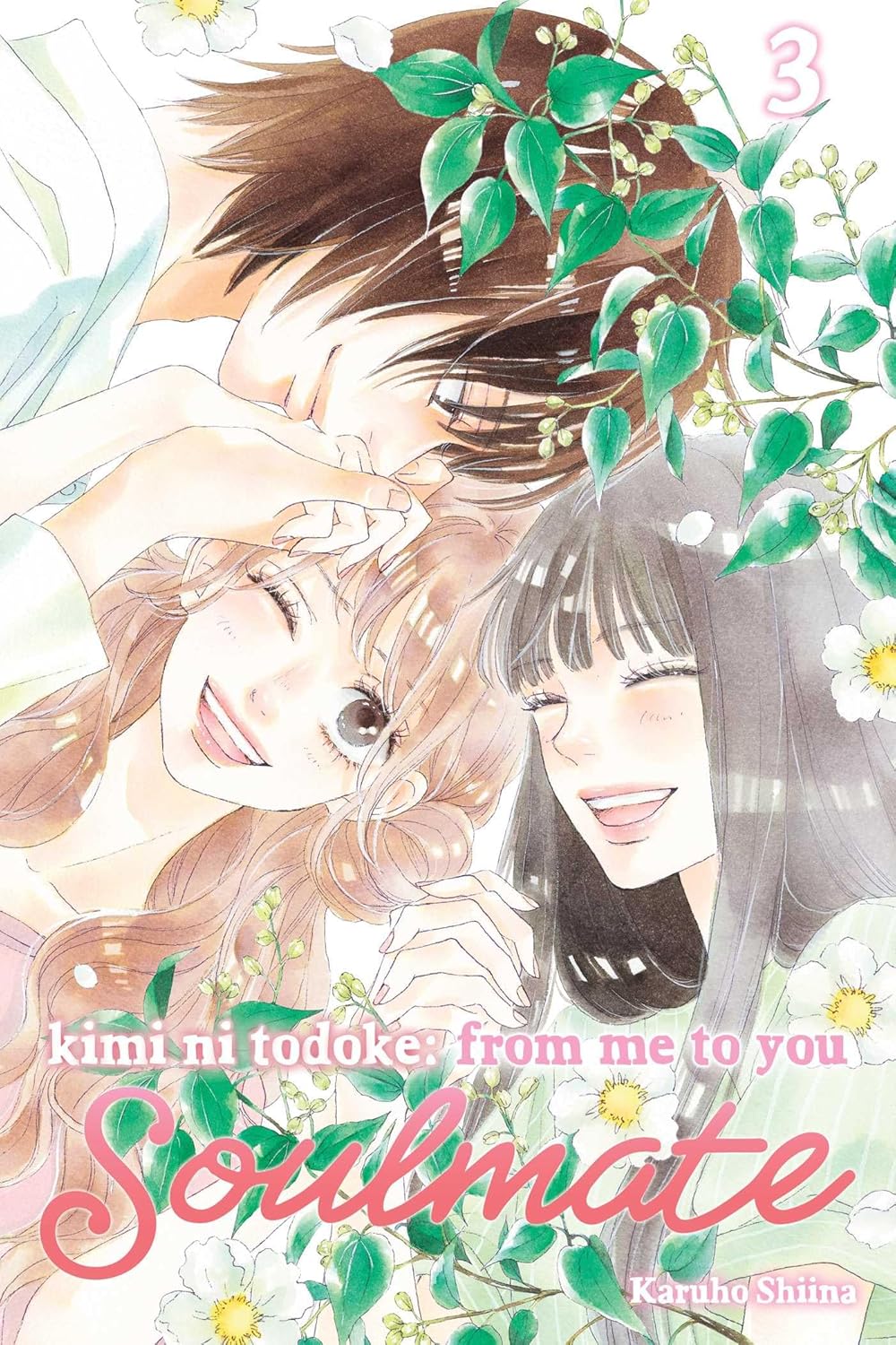 Kimi Ni Todoke: From Me to You, Vol. 3