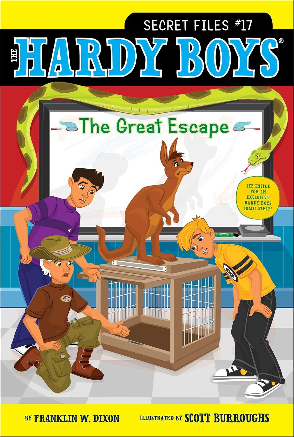 The Great Escape: The Hardy Boys: Secret Files #17