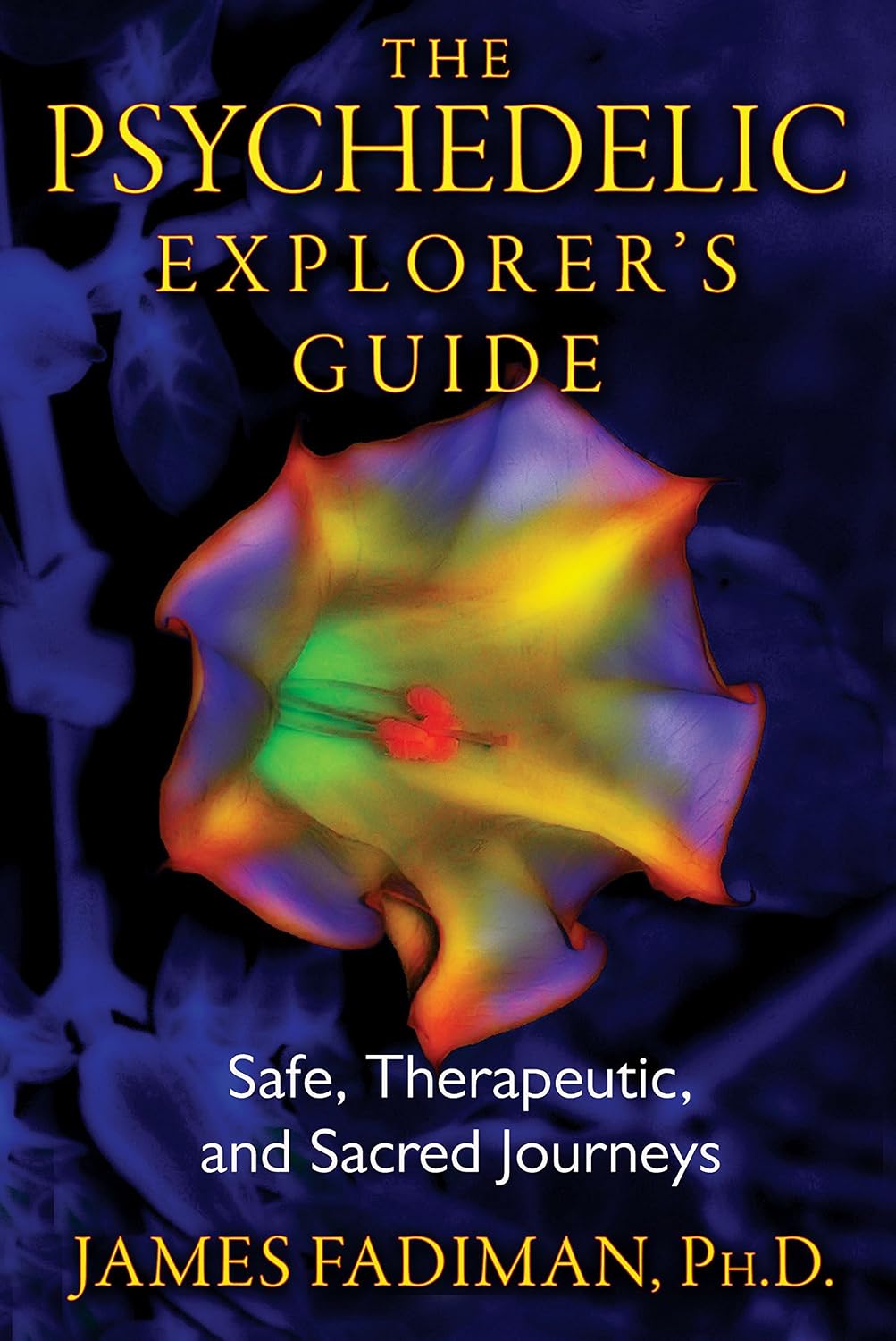 The psychedelic explorer's guide: safe, therapeutic, and sacred journeys