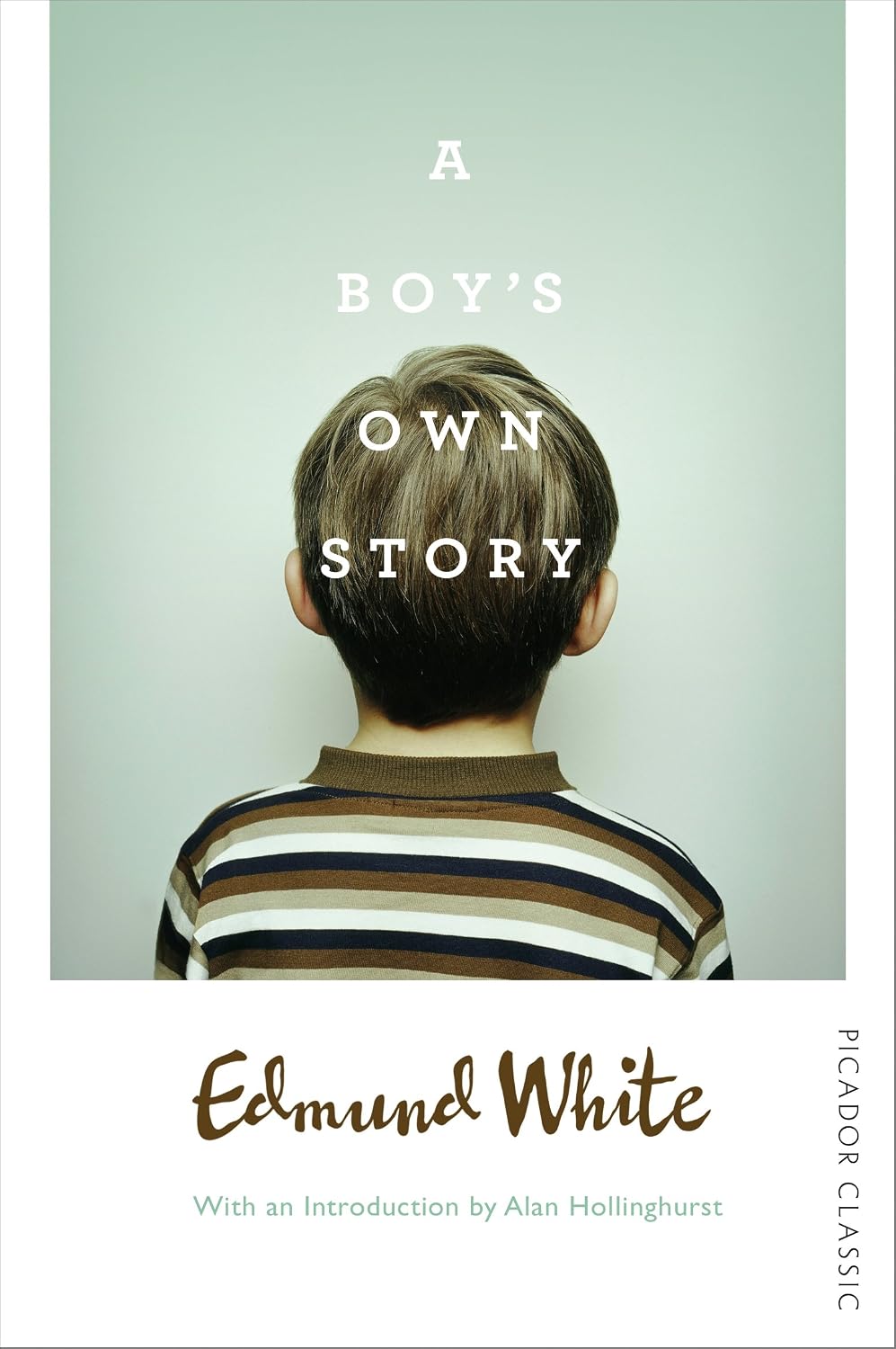 Boy's Own Story: Picador Classic