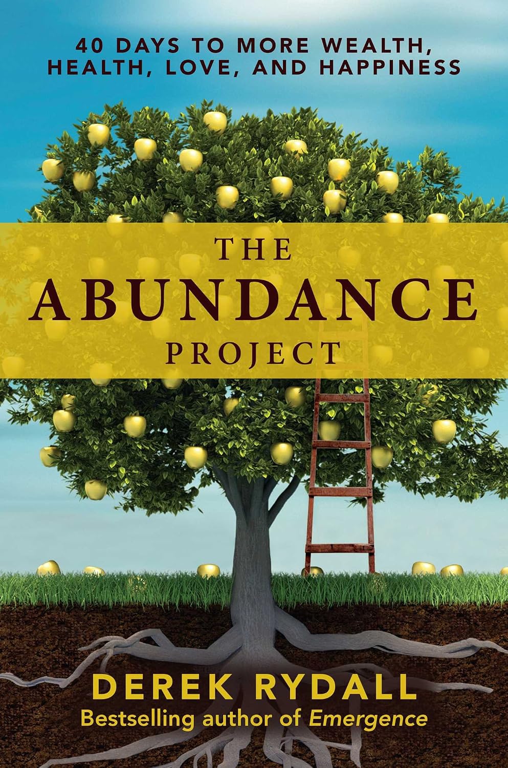 The abundance project: 40 days to more wealth, health, love, and happiness