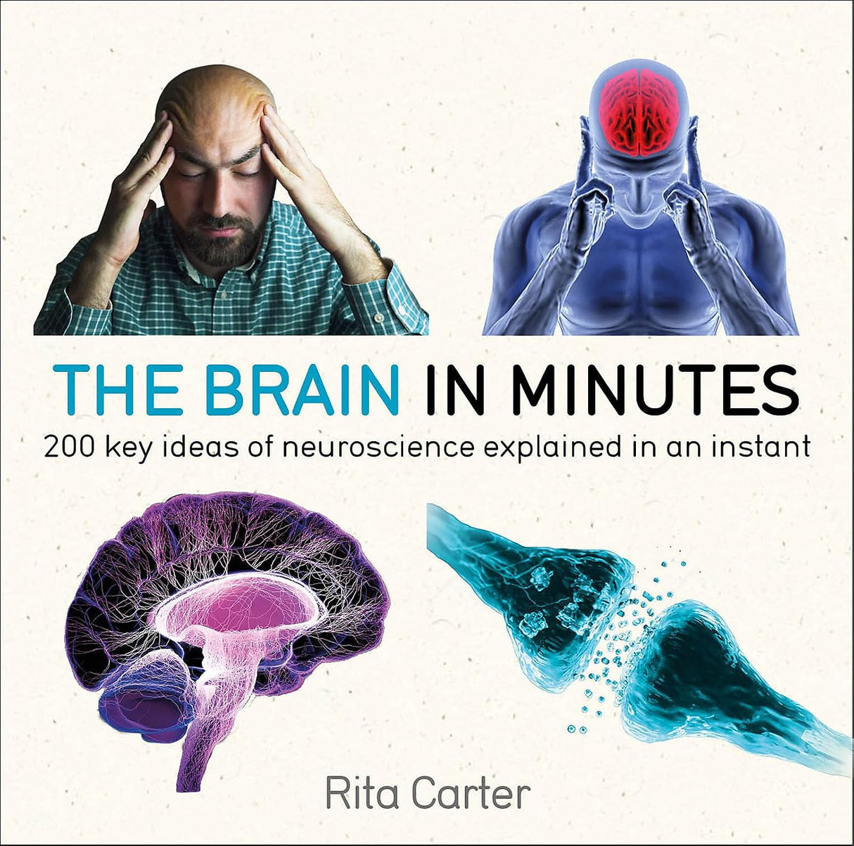 The Brain in Minutes (in Minutes Series)
