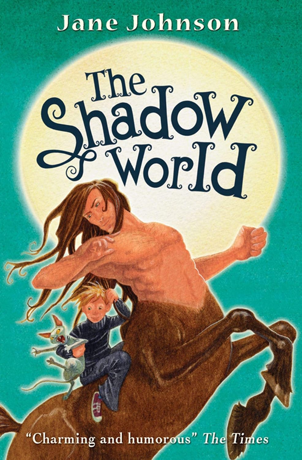 The shadow world
