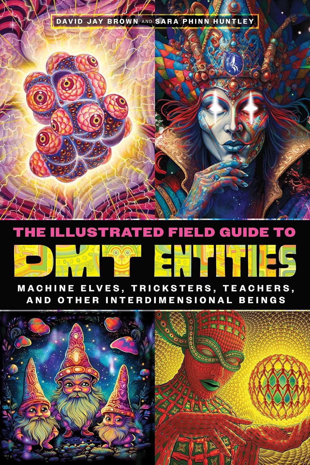 The Illustrated Field Guide to Dmt Entities
