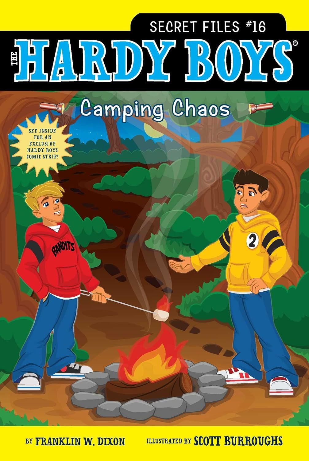 Camping Chaos: The Hardy Boys: Secret Files #16