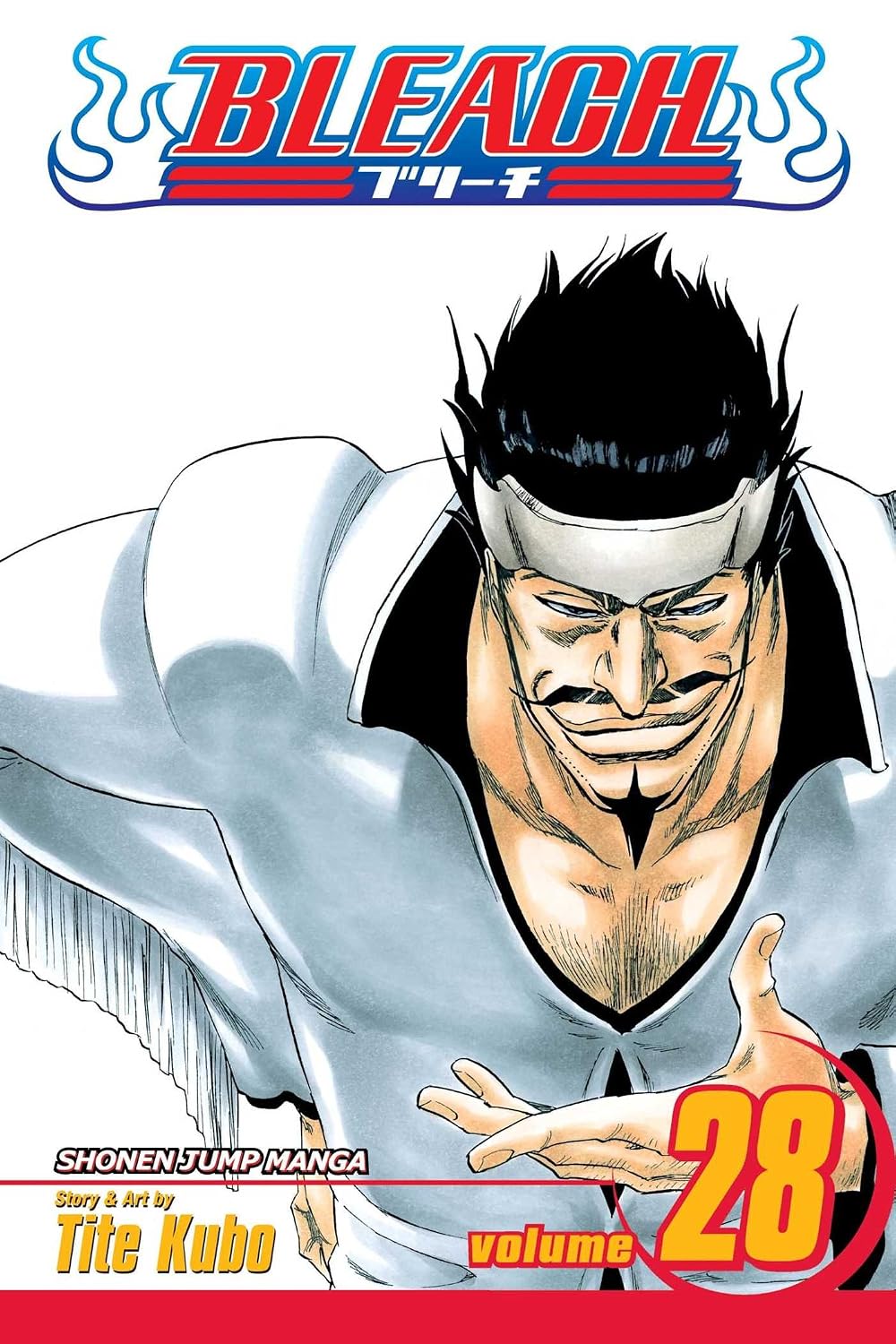 Bleach Vol 28
