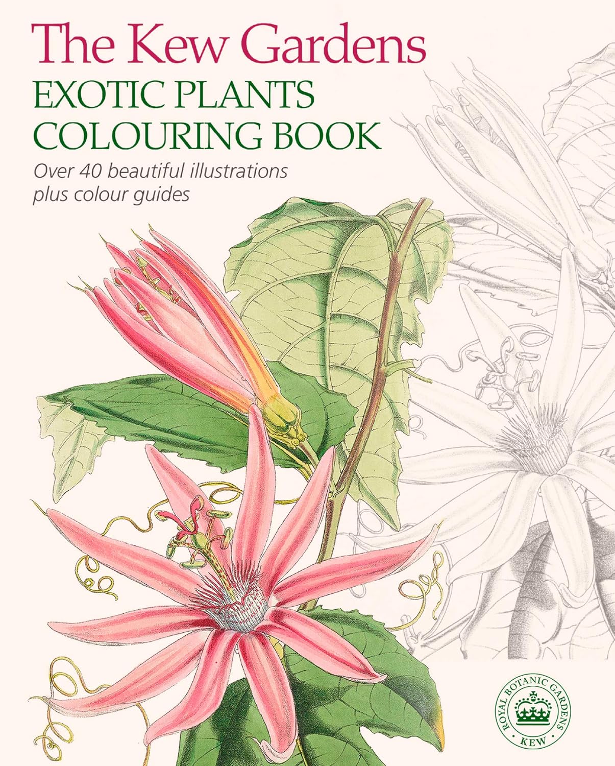 The Kew Gardens Exotic Plants Colouring Book