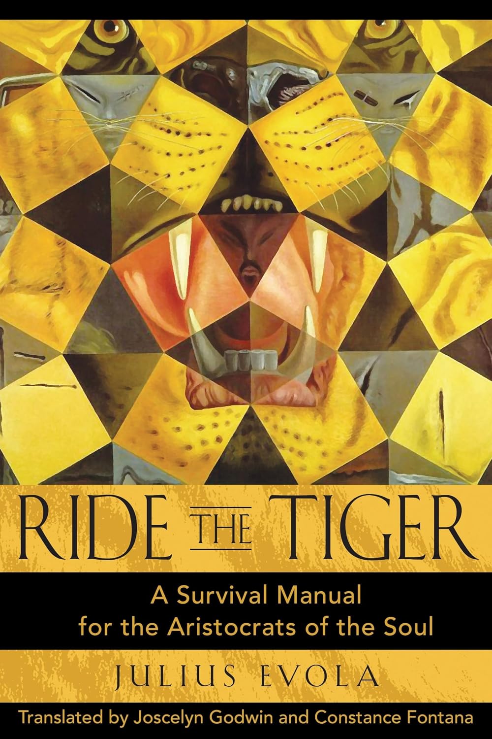 Ride the tiger: a survival manual for the aristocrats of the soul