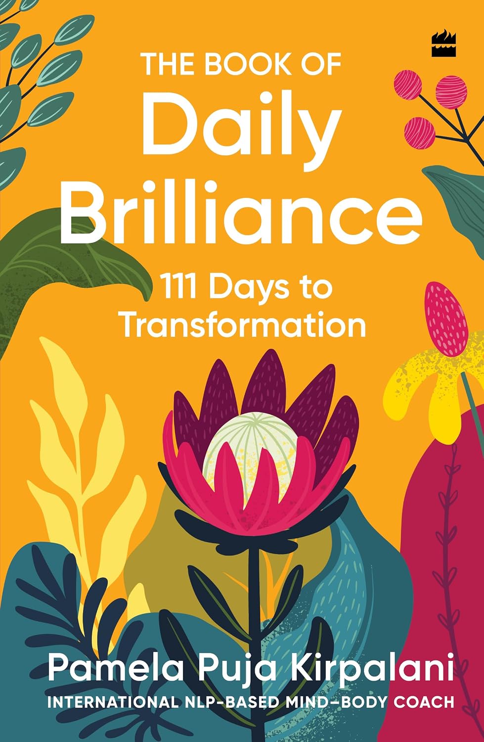 The Book of Daily Brilliance