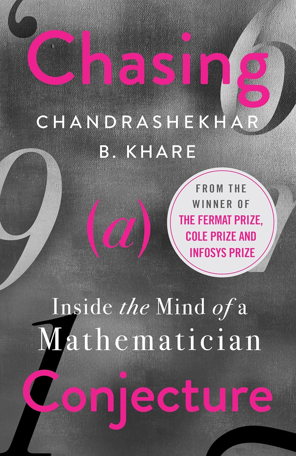 Chasing a Conjecture
