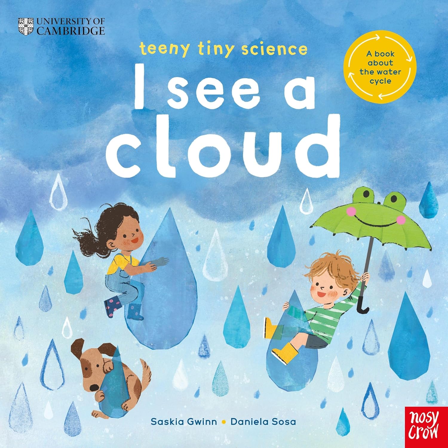 University of Cambridge: Teeny Tiny Science: I See a Cloud: a Book About the Water Cycle