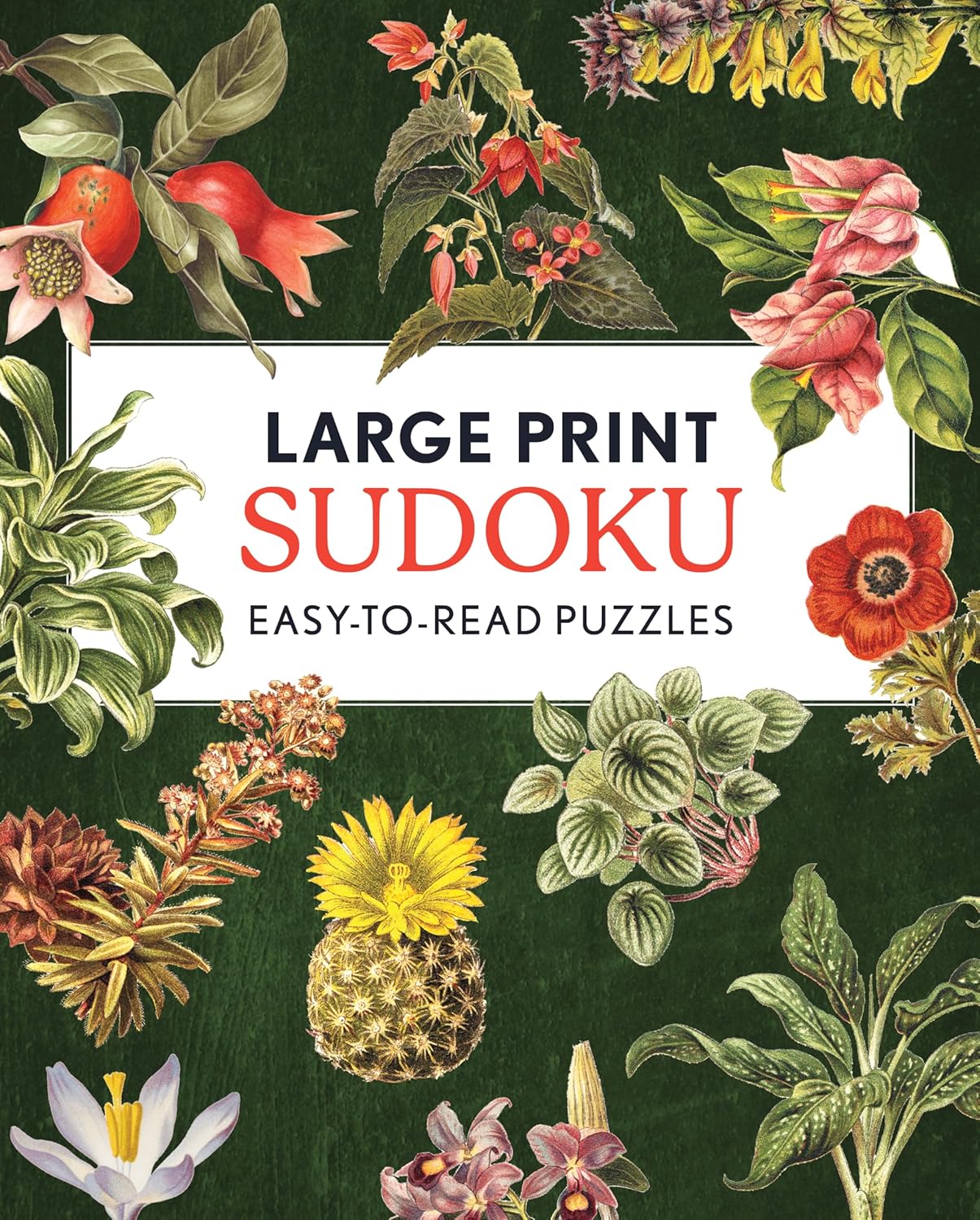 Large Print Sudoku: Easy-To-Read Puzzles