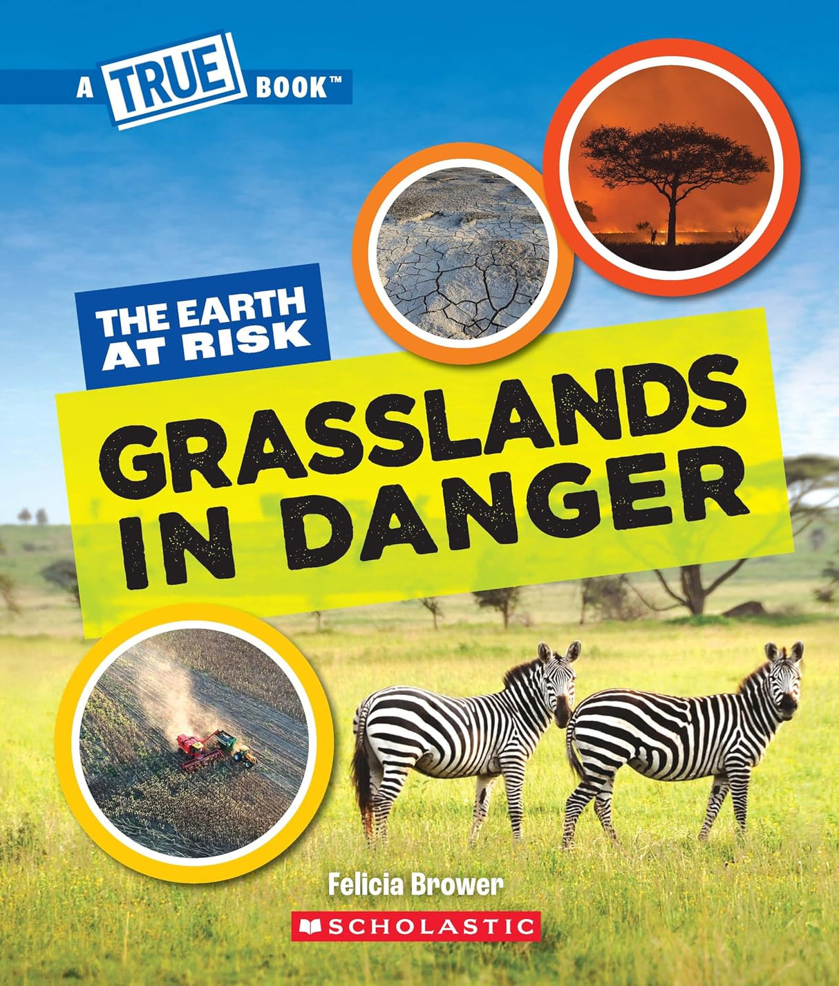 A True Book - The Earth at Risk: Grasslands in Danger