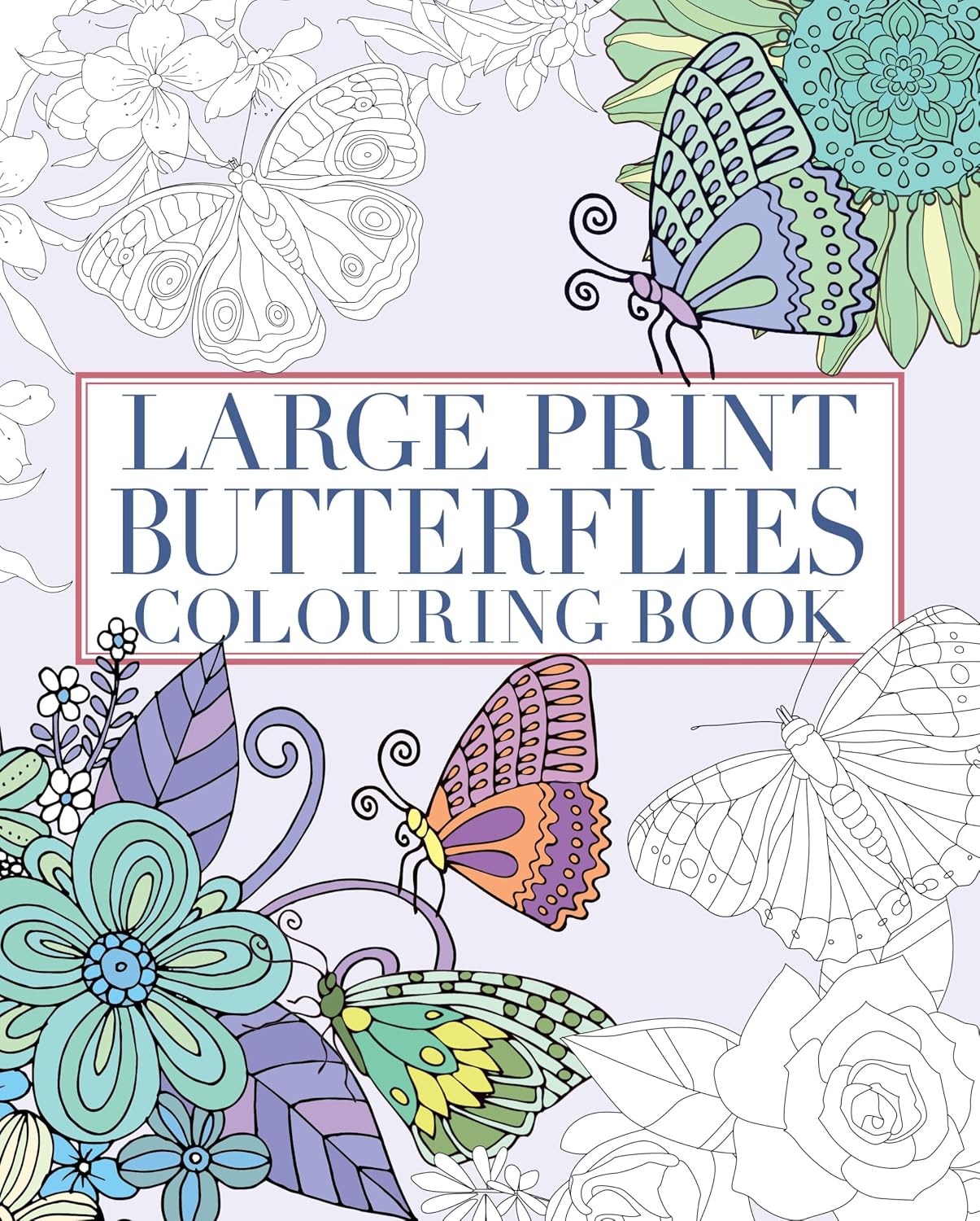 Large Print Butterflies Colouring Book