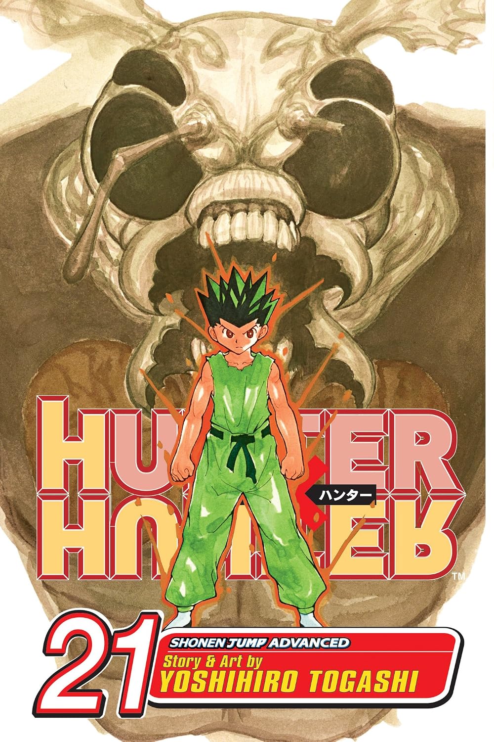 Hunter X Hunter Vol 21