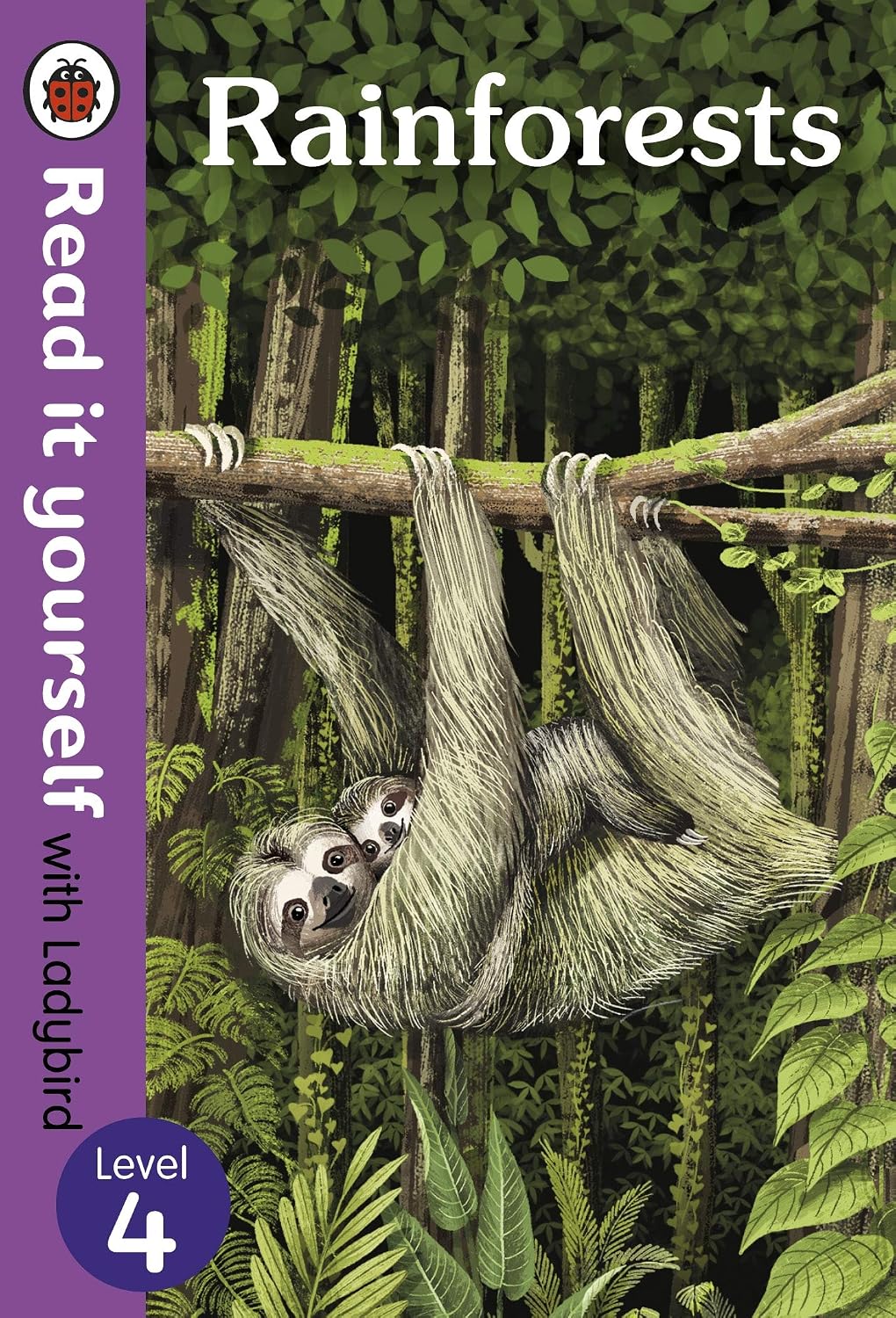 Rainforests: Level 4