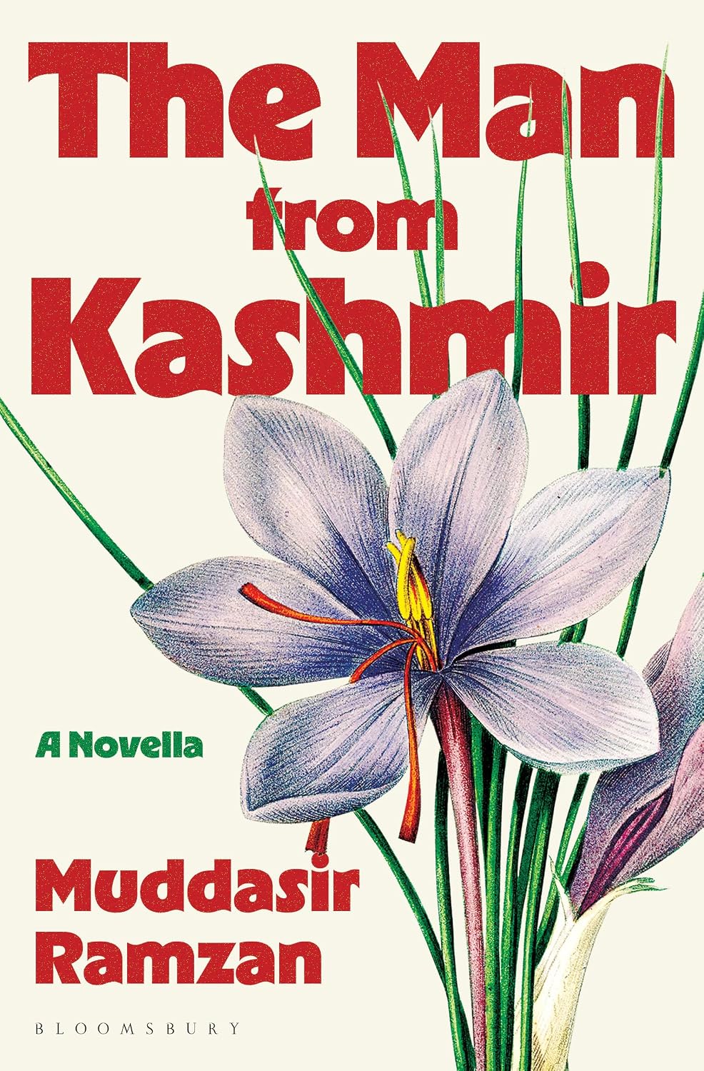 The Man From Kashmir: a Novella