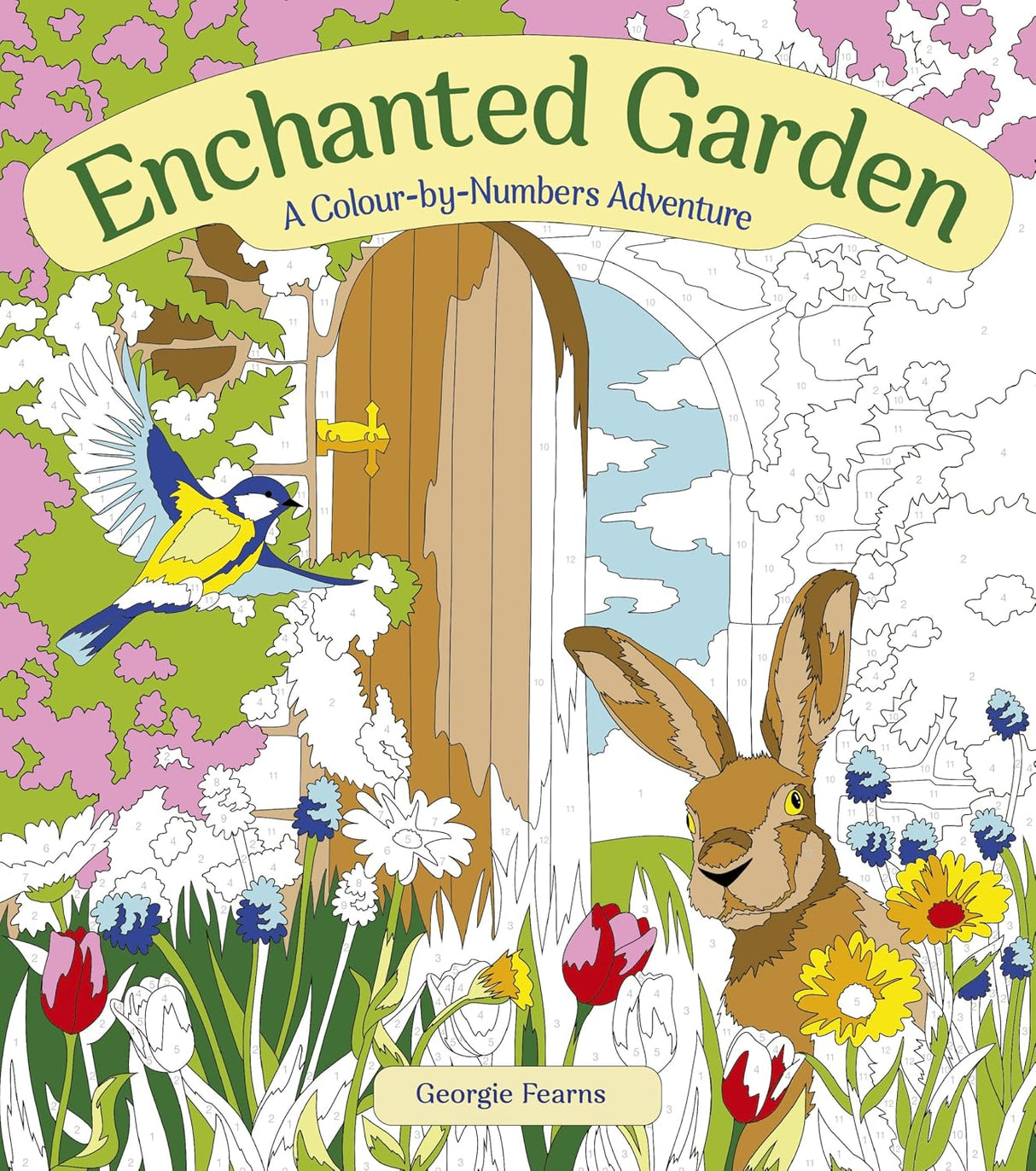 Enchanted Garden: A Colour-by-numbers Adventure